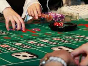 南宫app2024最新版